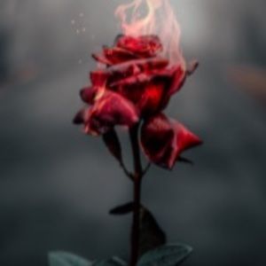 Meet your Posher, Reema and maha